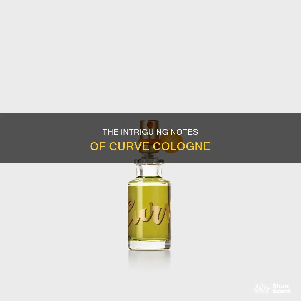 what is curve cologne made of