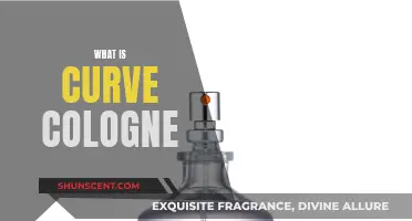 Curve Cologne: A Fragrance for the Modern Man