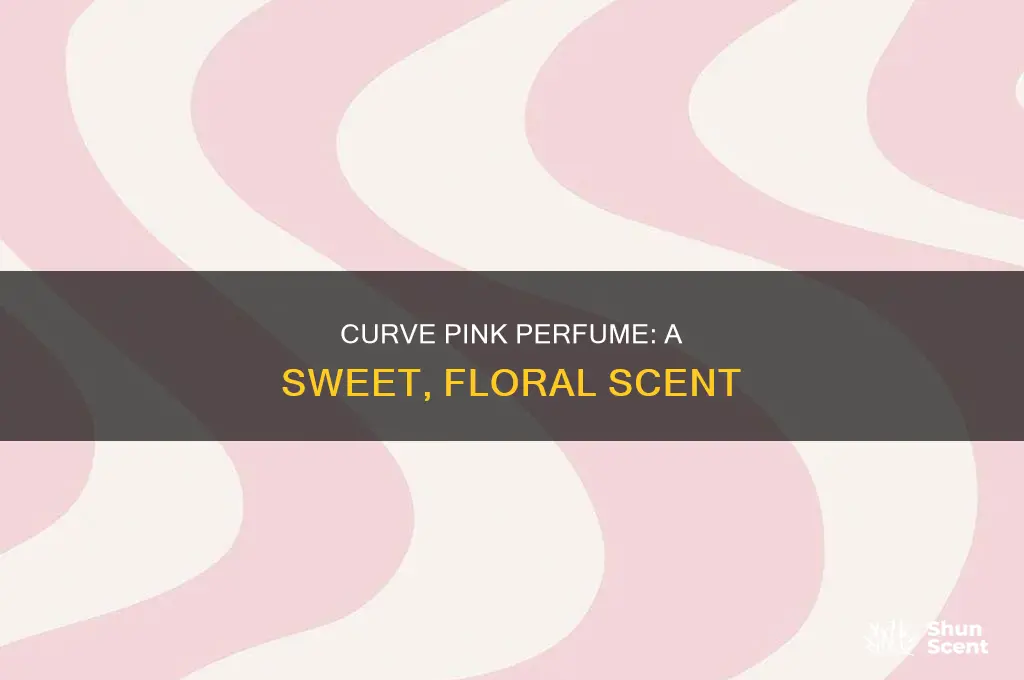 what is curve pink perfume