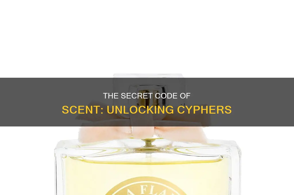 what is cypher in perfume
