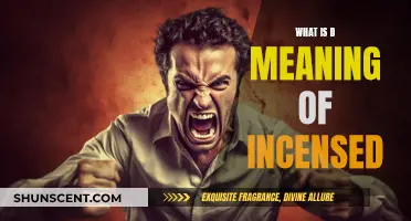 Understanding the Meaning of Incensed
