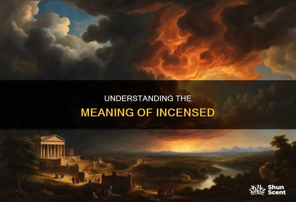 what is d meaning of incensed