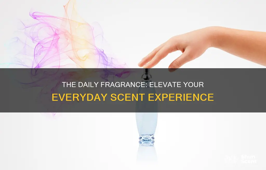 what is daily fragrance
