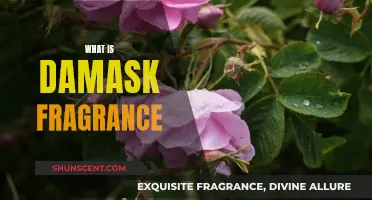 The Alluring Damask Fragrance: A Complex, Rich Scent