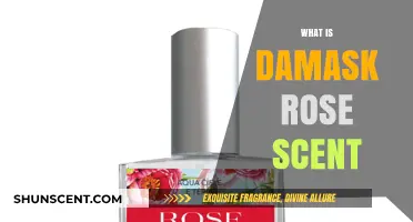 Discover the Luxurious and Timeless Damask Rose Scent: A Guide
