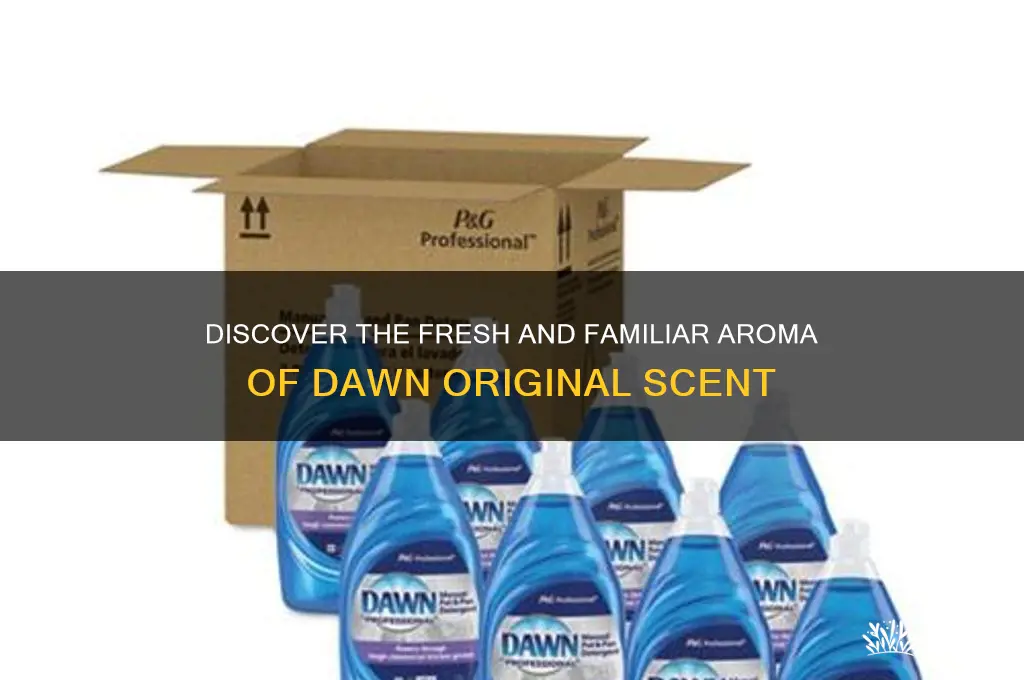 what is dawn original scent