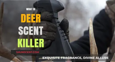 Understanding Deer Scent Killer: Enhance Your Hunting Stealth Effectively