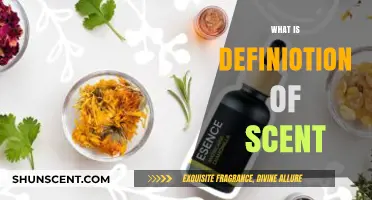 Unveiling the Essence: Understanding the True Definition of Scent