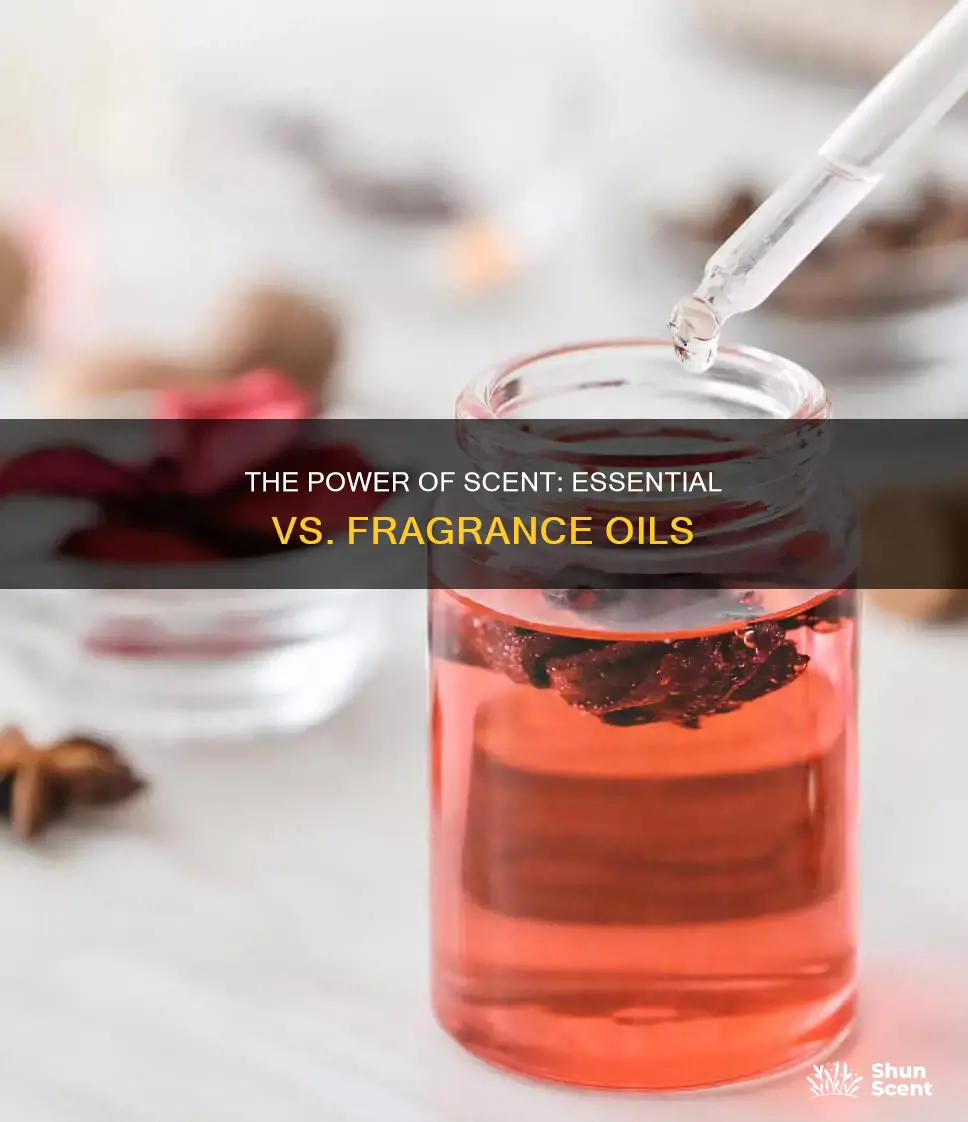 what is difference between essential oil and fragrance oil