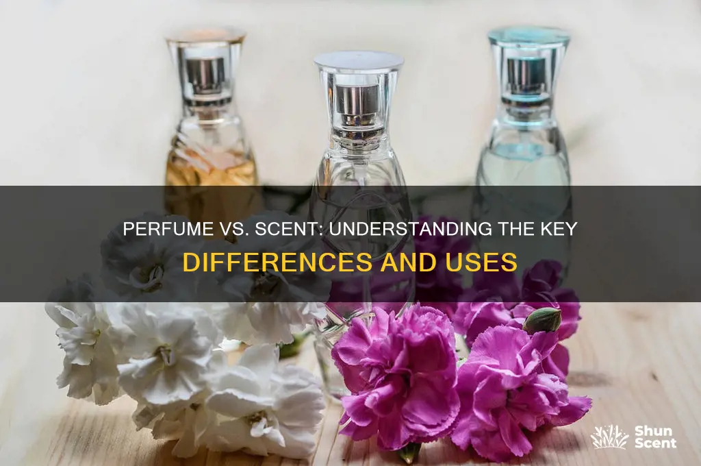 what is difference between perfume and scent