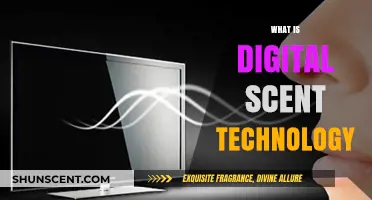 Exploring Digital Scent Technology: The Future of Olfactory Experiences