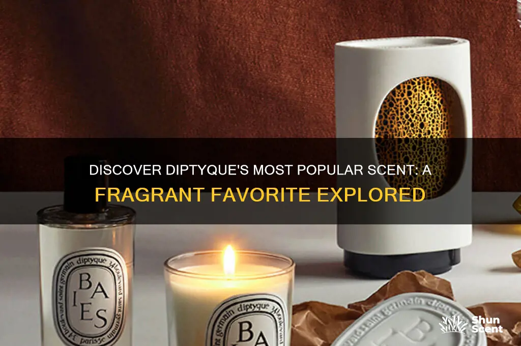 what is diptyque most popular scent