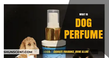 The Scent of a Dog: Understanding Dog Perfumes