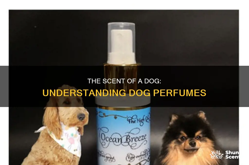 what is dog perfume