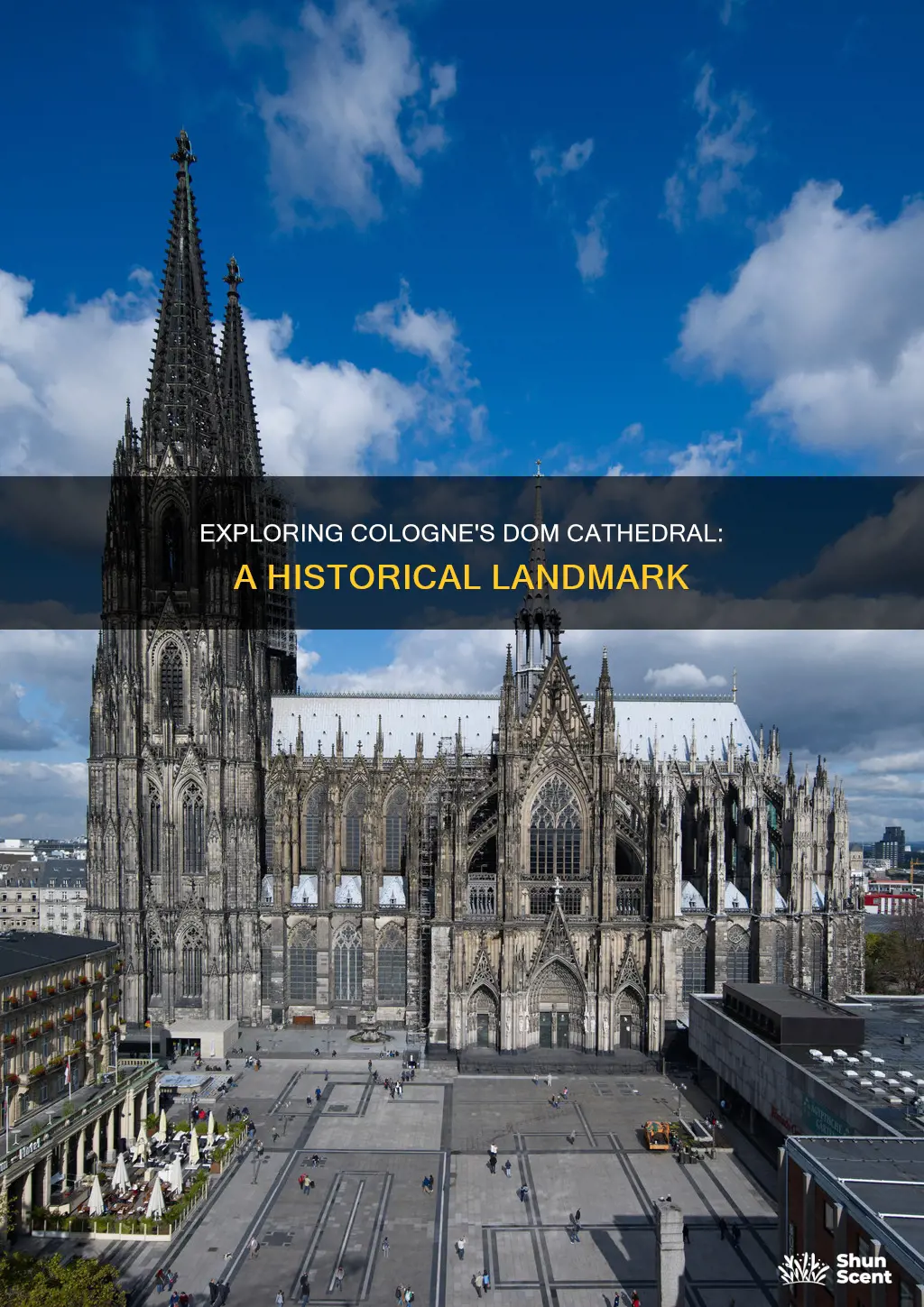 what is dom cathedral cologne germany