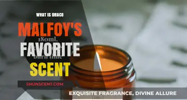 Unveiling Draco Malfoy's Secret: His Most Cherished Aromatic Obsession