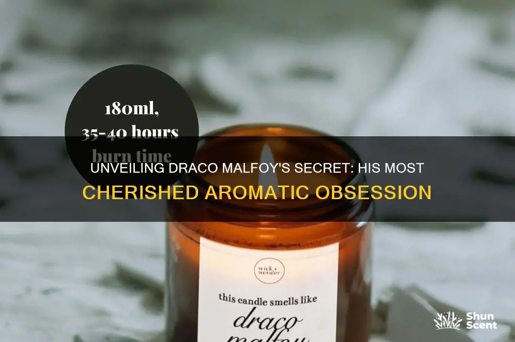 what is draco malfoy