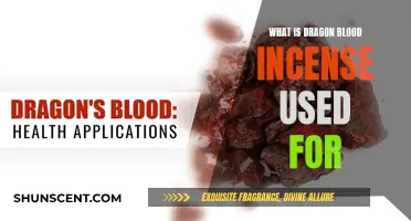 Dragon Blood Incense: Ancient Rituals and Modern Uses