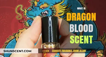 Unveiling the Mystique of Dragon Blood Scent: A Fragrant Journey