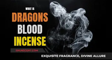 Explore the Mystical Dragons Blood Incense