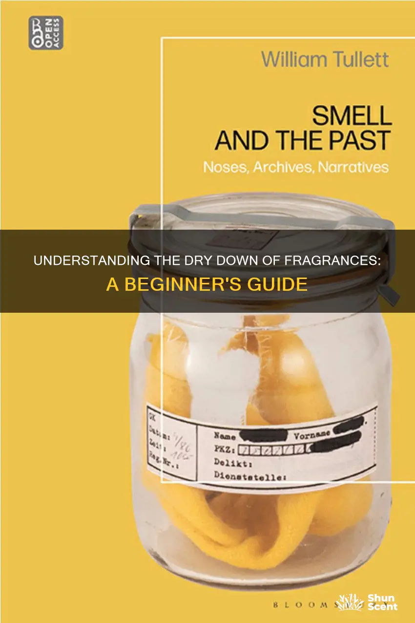 what is dry down of fragrance