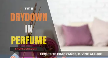 The Evolution of Perfume Scents: Drydown Explained