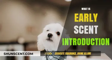 Early Scent Introduction: A Guide to Puppy Scent Socialization
