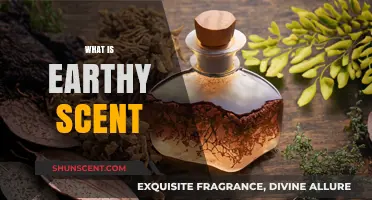Exploring the Natural Allure of Earthy Scents: A Sensory Journey