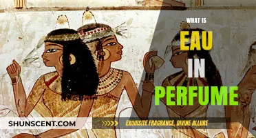 The Evolution of Eau in Perfumes