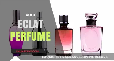 Explore the World of Eclat Perfumes