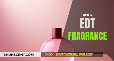 The EDT Fragrance: What You Need to Know