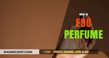 Edu Perfume: The Scent of Knowledge