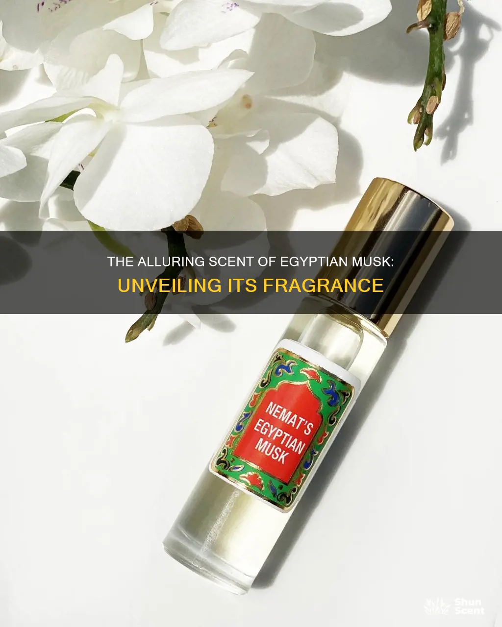what is egyptian musk fragrance