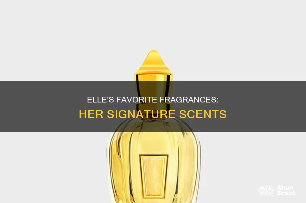 what is elle