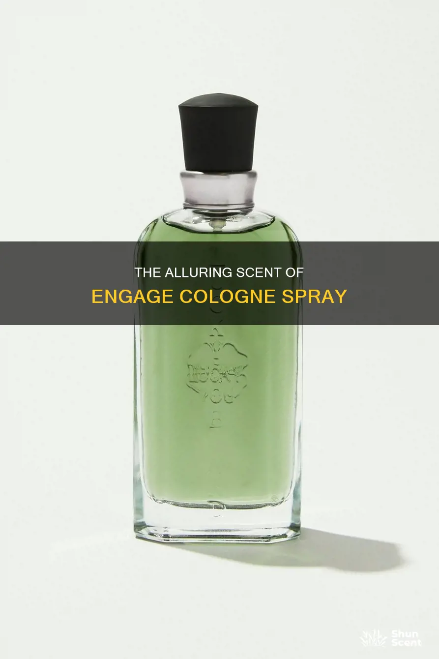 what is engage cologne spray