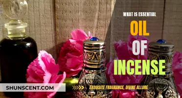 Incense Essential Oil: Ancient Aromatics Explained