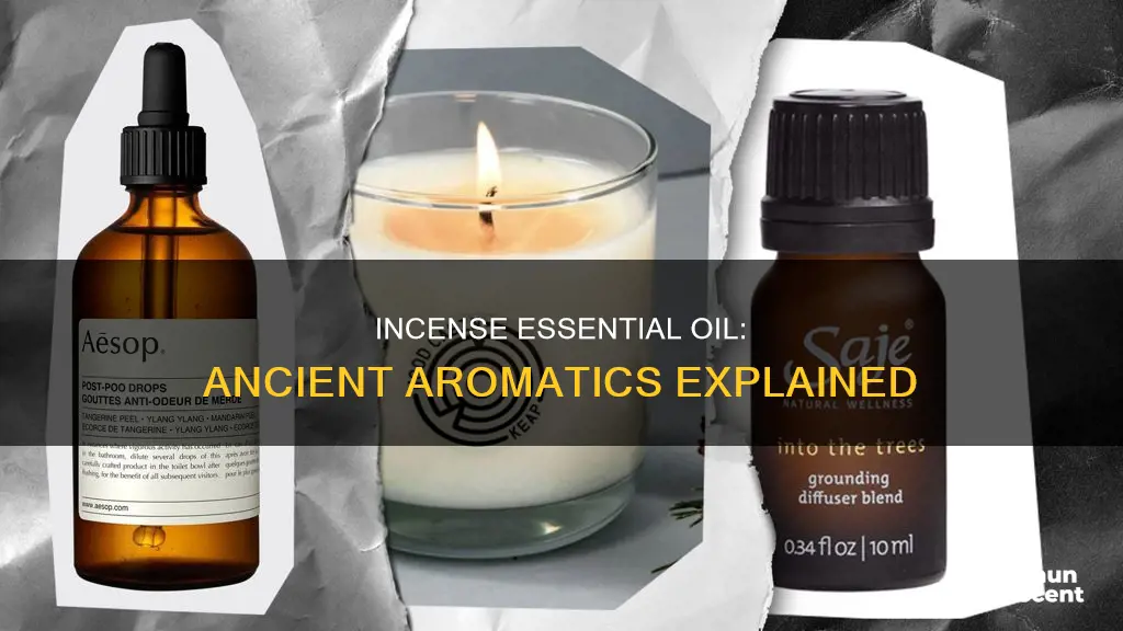 what is essential oil of incense