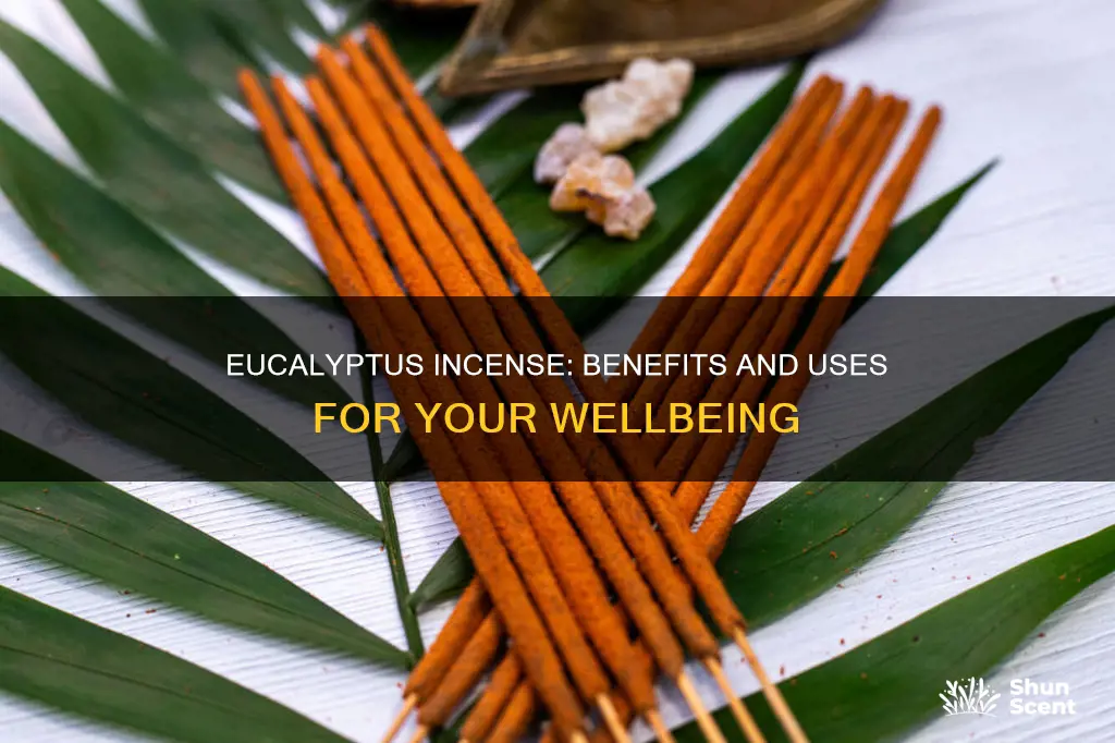 what is eucalyptus incense good for