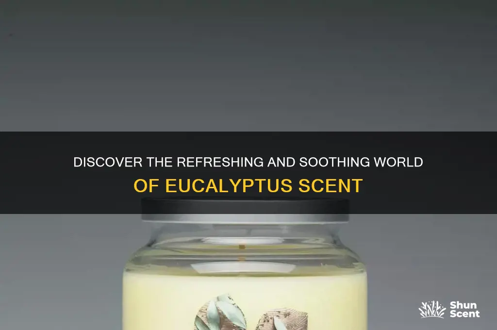 what is eucalyptus scent