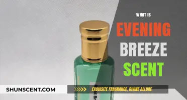 Unveiling the Serene and Refreshing Essence of Evening Breeze Scent