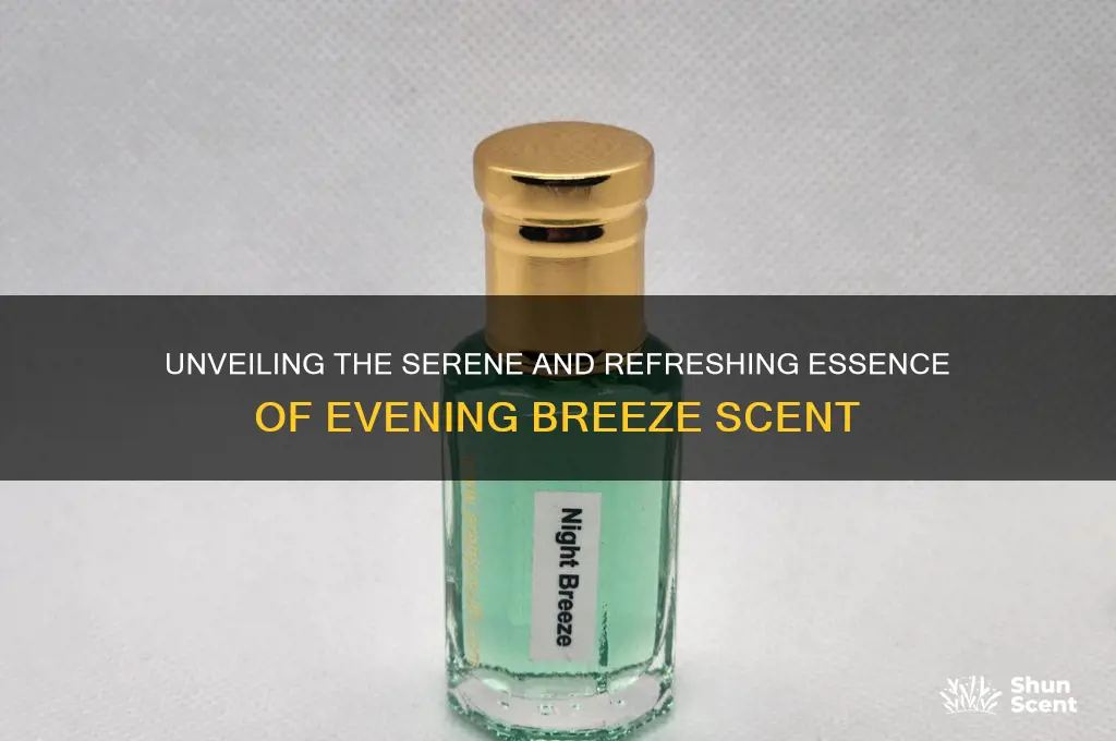 what is evening breeze scent