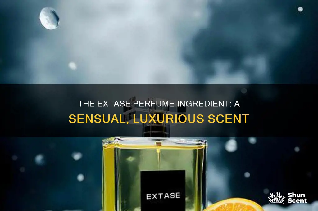 what is extase in perfume