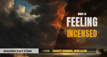 The Fire of Incensed Feelings: Understanding Emotional Rage