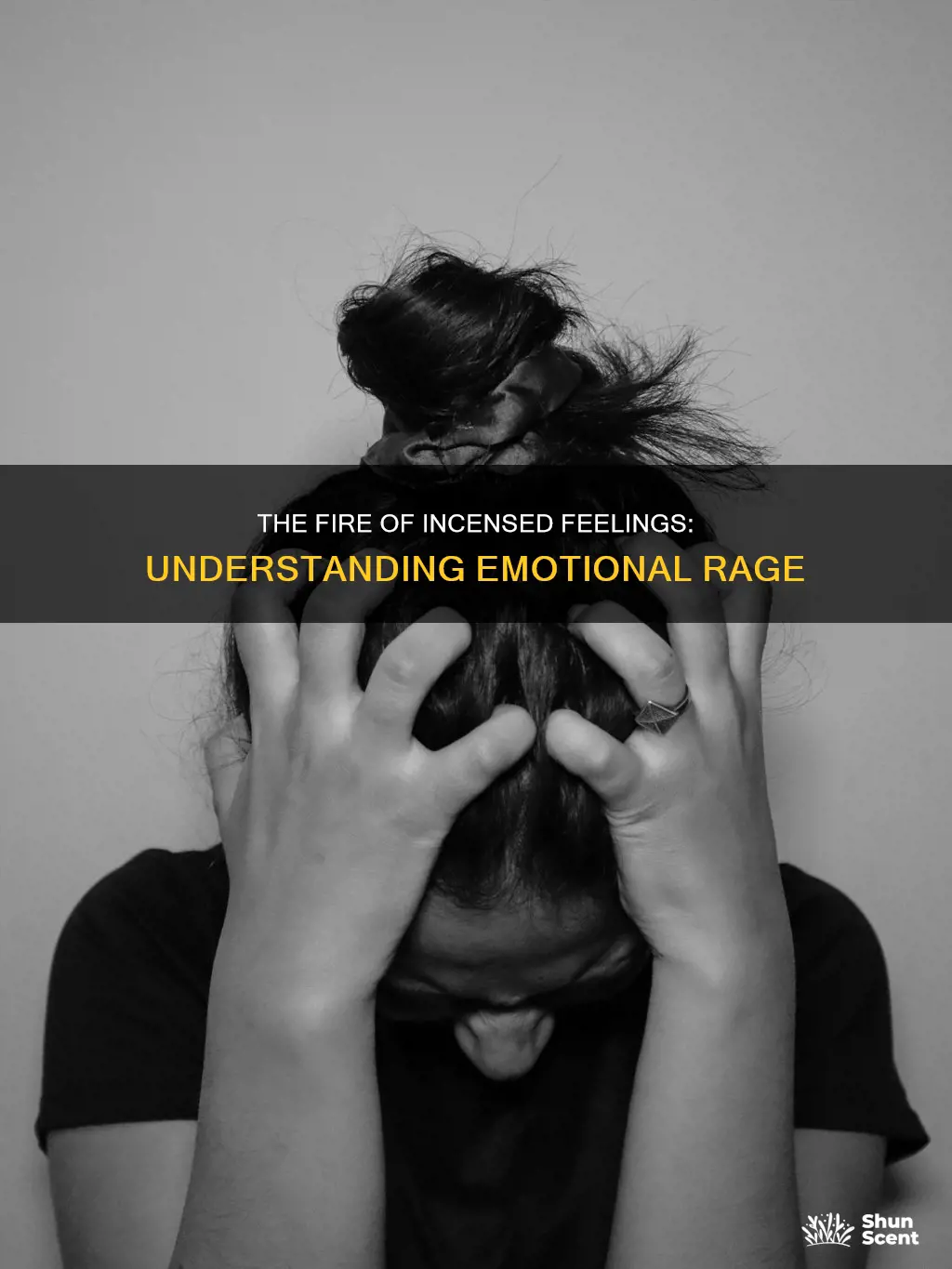 what is feeling incensed
