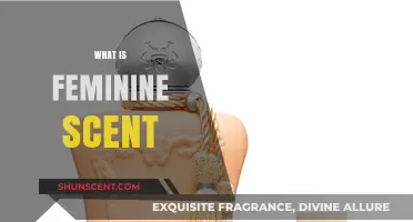 Exploring the Essence of Feminine Scent: A Sensory Journey