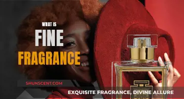 The Alluring World of Fine Fragrances: An Introduction