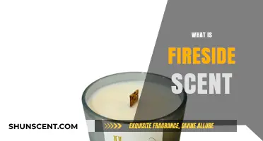 Unveiling the Cozy Charm of Fireside Scent: A Warm Embrace