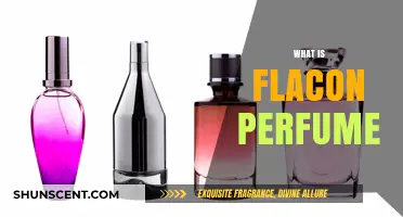 Explore the World of Flacon Perfumes