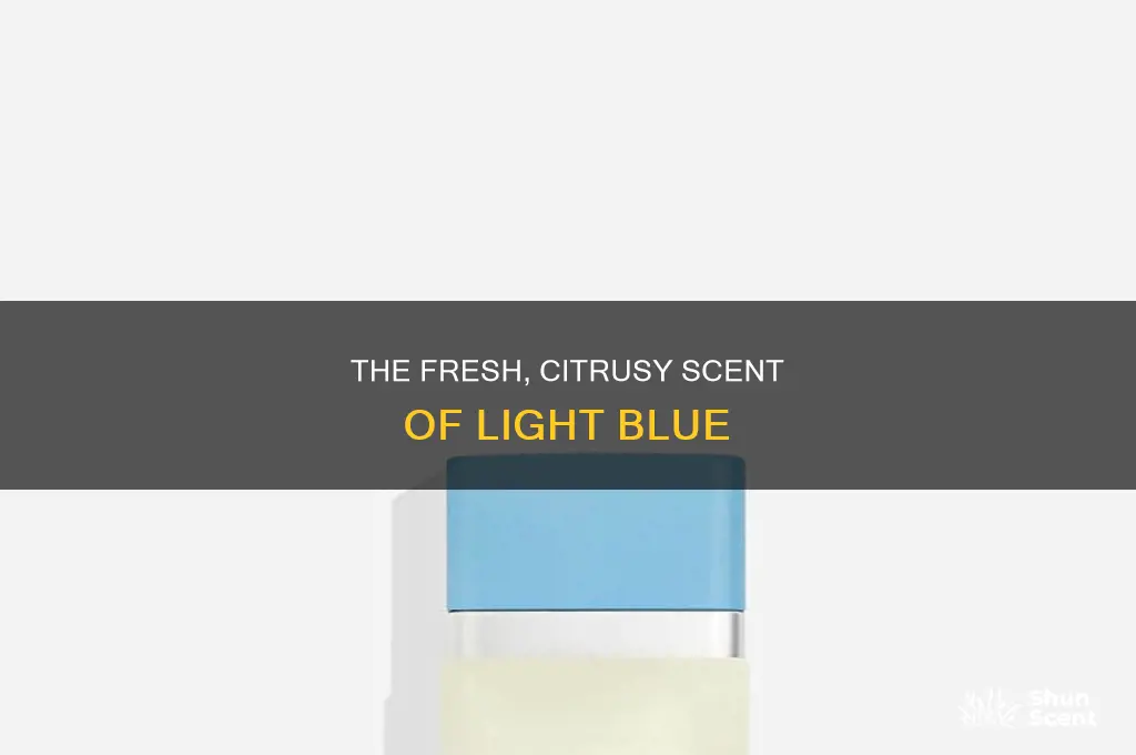 what is flavor of dolce gabana light blue perfume