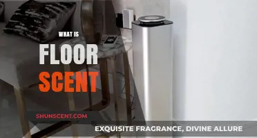 Discover the Magic of Floor Scent: A Fresh Perspective